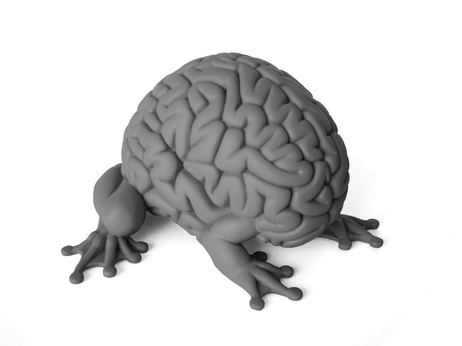 Brain 106. Плюшевый мозг. Игрушечный мозг. Мягкая игрушка мозги. Антистресс мозг.