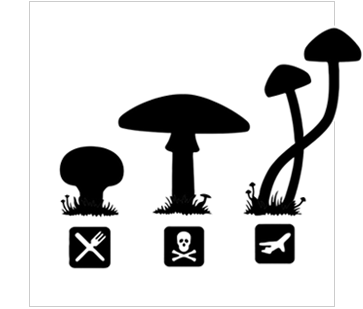 magic-mushroom.png